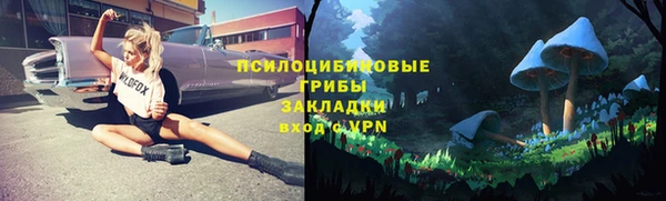 бутират Каменка