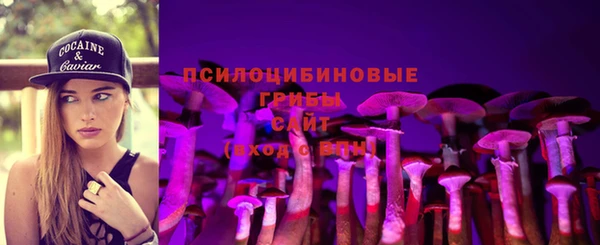 СК Каменск-Шахтинский