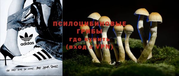 бутират Каменка