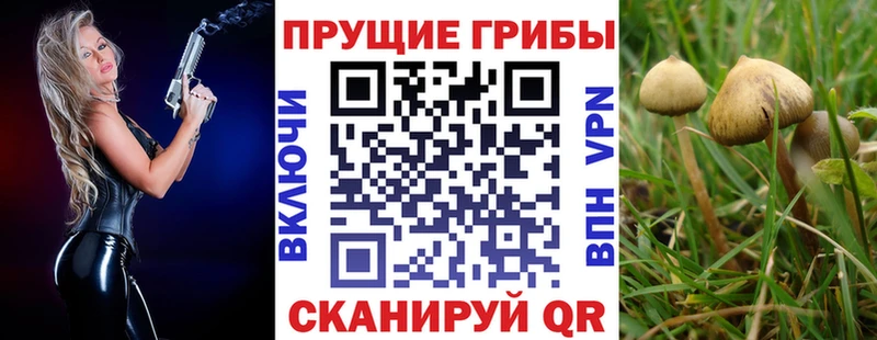 Купить  Соль-Илецк  Псилоцибиновые грибы прущие грибы 